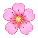 Sakura Flower